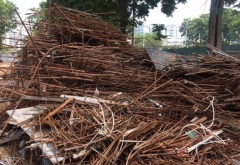 THU MUA PHIẾU LIỆU GIÁ CAO TÂN UYÊN